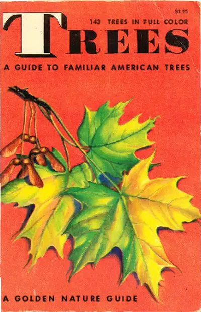 American Trees A Guide