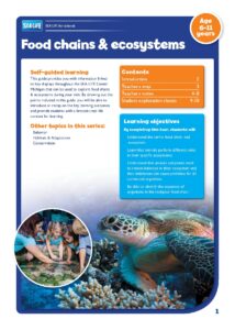 Answer Key for Food Chains and Ecosystems Age 6-11