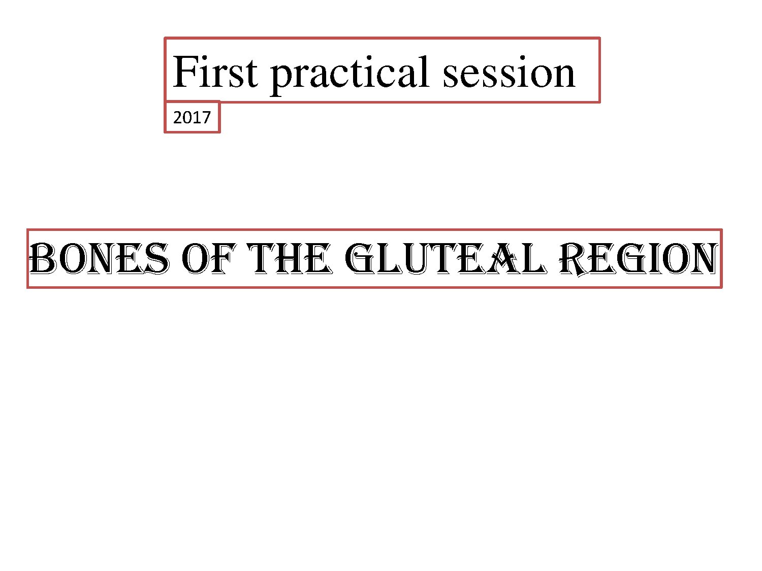 Bones of the Gluteal Region Anatomy and Function