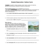 Carbon Cycle Gizmo Test