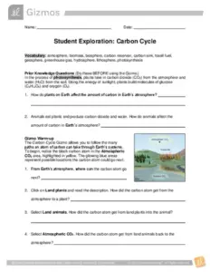 Carbon Cycle Gizmo Test