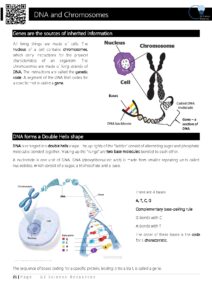 DNA and Chromosomes Overview for Biology Students