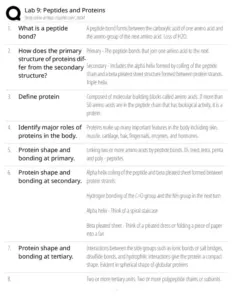 Lab 9: Peptides and Proteins