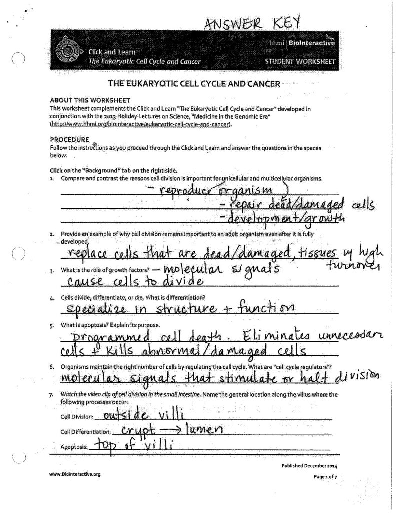 The Eukaryotic Cell Cycle And Cancer Answer Key