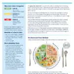The Glycemic Index Guide