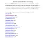 Guide To Common Medical Terminology