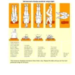 Home Epley Maneuver Instructions and Guidelines PDF