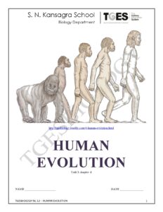 Human Evolution Overview and Key Concepts