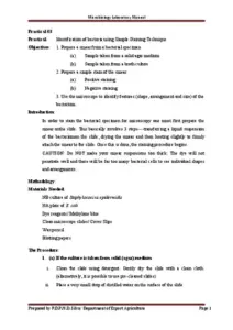Simple Staining Techniques in Microbiology
