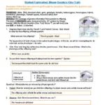 Mouse Genetics Gizmo Answer Key