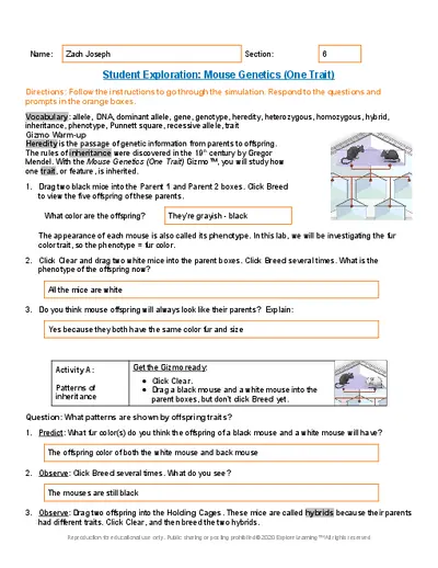 Mouse Genetics Gizmo Answer Key