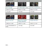 Jamie Eason Livefit Trainer