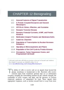 Lehninger Principles Of Biochemistry 7th Edition