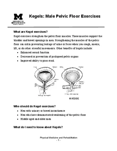 Kegels: Male Pelvic Floor Exercises
