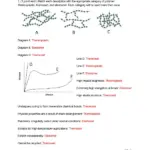 Materials Science Answer Key