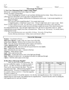 Microscope Worksheet for Biology Students