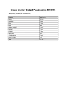 Monthly Budget R21000