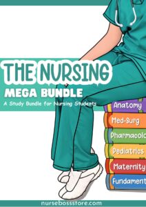 Nurse Boss Bundle for Nursing Students by Fiskvik Antwi