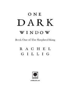 One Dark Window Novel by Rachel Gillig