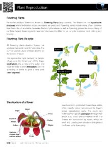 Plant Reproduction Year 9 Science Resource