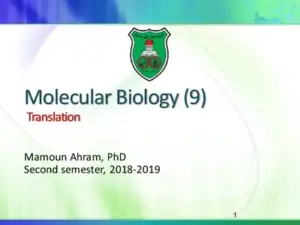 Molecular Biology Translation by Mamoun Ahram PDF