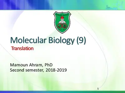 Molecular Biology Translation by Mamoun Ahram PDF