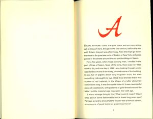 The Scarlet Letter Novel by Nathaniel Hawthorne