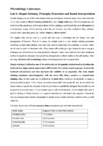 Simple Staining in Microbiology: Steps and Principles