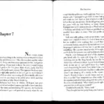 The Outsiders Novel by SE Hinton Chapter 7-9