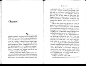 The Outsiders Novel by SE Hinton Chapter 7-9