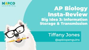 AP Biology Insta Review Big Idea 3 Information Storage