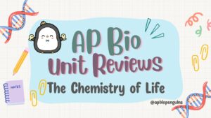 AP Biology Unit 1 Review for Exam Preparation