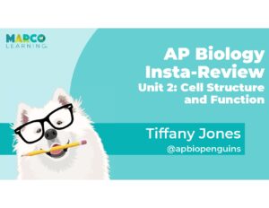 AP Biology Unit 2 Cell Structure and Function Review