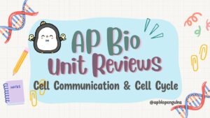 AP Biology Unit 4 Review: Cell Communication and Cycle