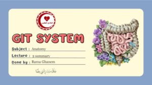 Anatomy Lecture 2 Summary on Salivary Glands