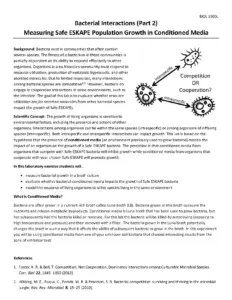 Bacterial Interactions Lab Report Part 2