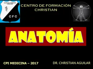 CFC 2017 Topografía del Cabeza y Cuello