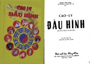 Cao Ly Dau Hinh: Traditional Vietnamese Martial Arts