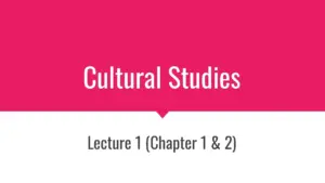 Cultural Studies Lecture Slides 1-12