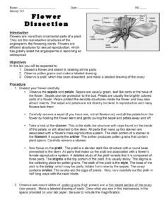 Flower Dissection Lab Guide for Botany Students