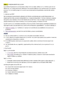 Funcionamiento de las Organizaciones Internacionales
