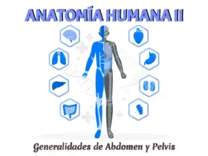 Generalidades de Abdomen y Pelvis