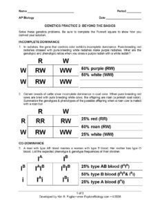 Genetics Practice 2: Beyond the Basics AP Biology