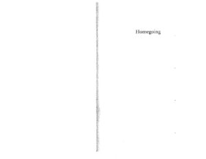 Homegoing by Yaa Gyasi - Esichapter Analysis