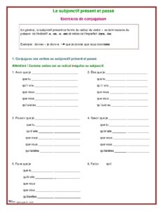 Le subjonctif présent et passé Exercices de conjugaison