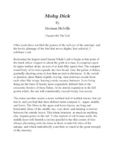 Moby Dick by Herman Melville Chapter 86: The Tail