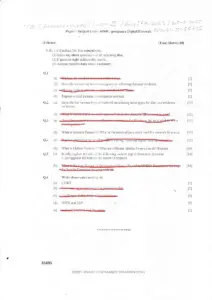 Mumbai University Digital Forensics Honours Exam May 2025