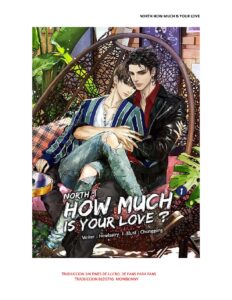 North: How Much Is Your Love – Fan Translation