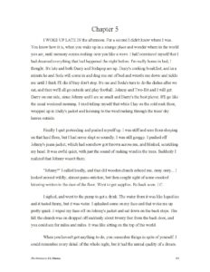 The Outsiders Chapter 5 by S.E. Hinton