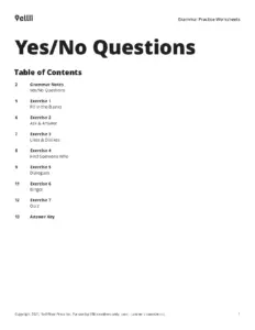 Yes/No Questions Grammar Practice Worksheets
